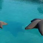 каменград хотел&спа
