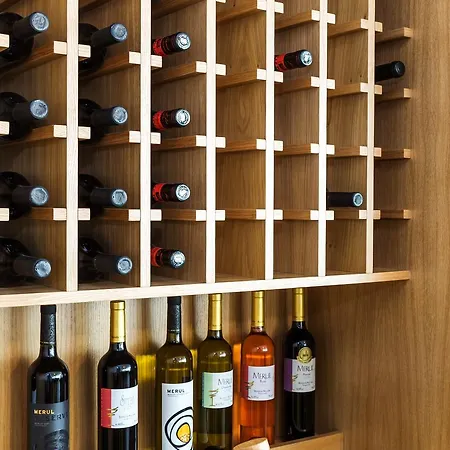 酒店 卡门格拉德spa酒店 帕纳久里什泰